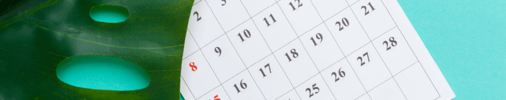 Fechas clave y plazos para cumplir la ley