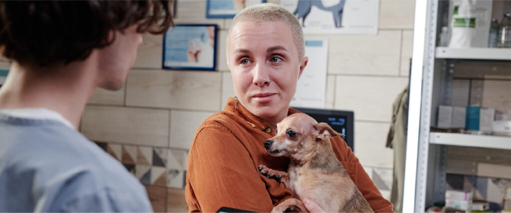 Cuánto cuesta una urgencia veterinaria en España desglose real de gastos en 2026