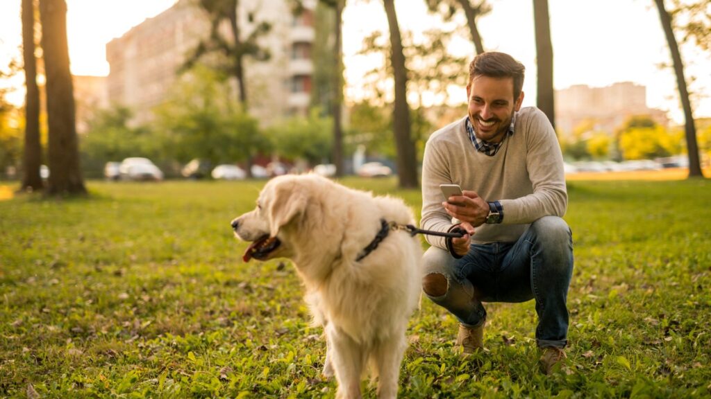 Seguro de responsabilidad civil para perros: qué cubre, qué cuesta y cómo elegirlo