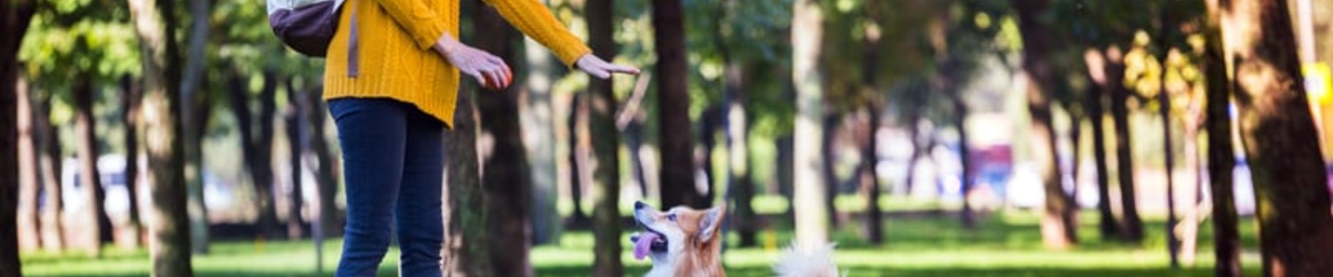 Por qué un seguro de responsabilidad civil para perros ya no es opcional