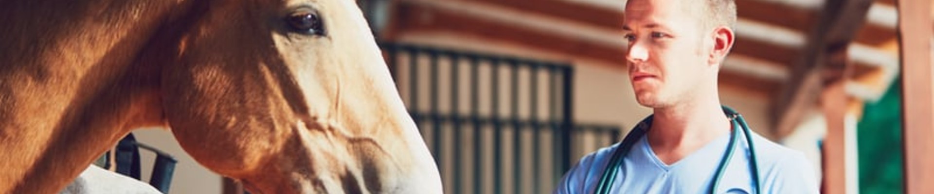 Exóticos, equinos y grandes animales: riesgos aparte